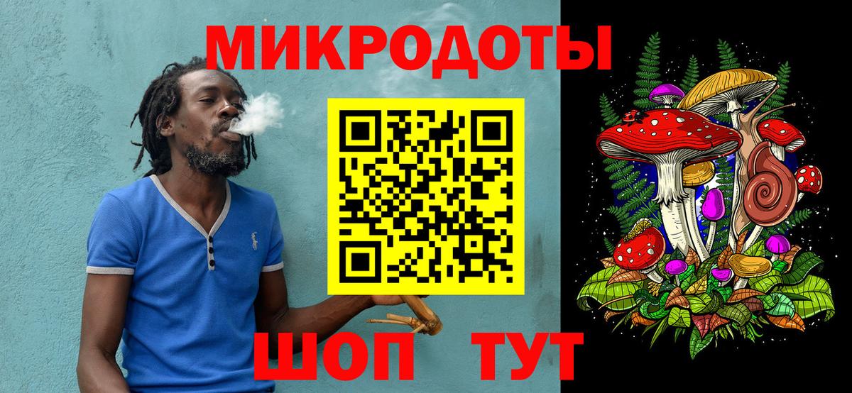 Галлюциногенные грибы Psilocybe Лысьва